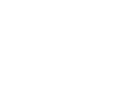 Evolution games at Wintika Casino